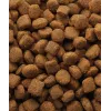 Sucha karma dla psa VERSELE-LAGA Lamb & Rice 20 kg — Dla dorosłych psów, wszystkich rozmiarów ras, 22% białka, 10% tłuszczu