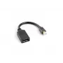 LANBERG Kabel DisplayPort Mini DisplayPort - 0,12 m Czarny