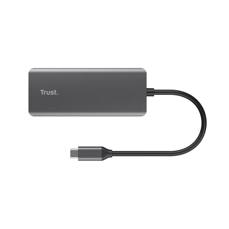Trust Dalyx USB Type-C 1000 Mbit/s srebrny