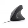 Mysz optyczna GEMBIRD MUS-ERGO-01 - ergonomiczna 6 przycisków, kółko, USB, czarna