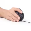 Mysz optyczna GEMBIRD MUS-ERGO-01 - ergonomiczna 6 przycisków, kółko, USB, czarna