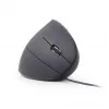 Mysz optyczna GEMBIRD MUS-ERGO-01 - ergonomiczna 6 przycisków, kółko, USB, czarna