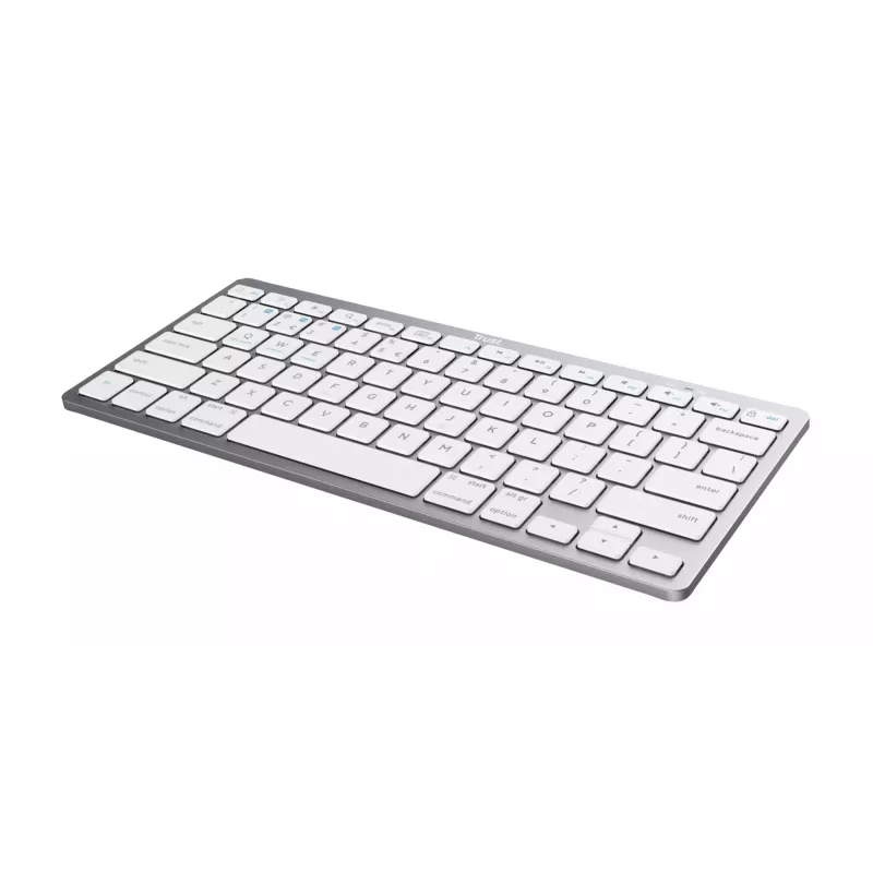 Trust 24651 klawiatura bezprzewodowa QWERTY US English, srebrna