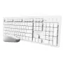 Trust Ody II klawiatura Mysz w zestawie Dom/Biuro RF Wireless QWERTY US English Biały