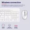 Trust Ody II klawiatura Mysz w zestawie Dom/Biuro RF Wireless QWERTY US English Biały