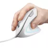 Trust Verto mysz Biurowa Praworęczna USB Typ-A Optyczna 1600 DPI