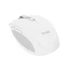 Mysz Trust Ozaa biurowa praworęczna RF Wireless + Bluetooth Optyczna 3200 DPI