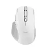 Mysz Trust Ozaa+, biurowa, praworęczna, RF bezprzewodowa + Bluetooth 24935