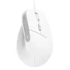 Trust Bayo II mysz Biurowa Praworęczna USB Typu-A Optyczna 2400 DPI