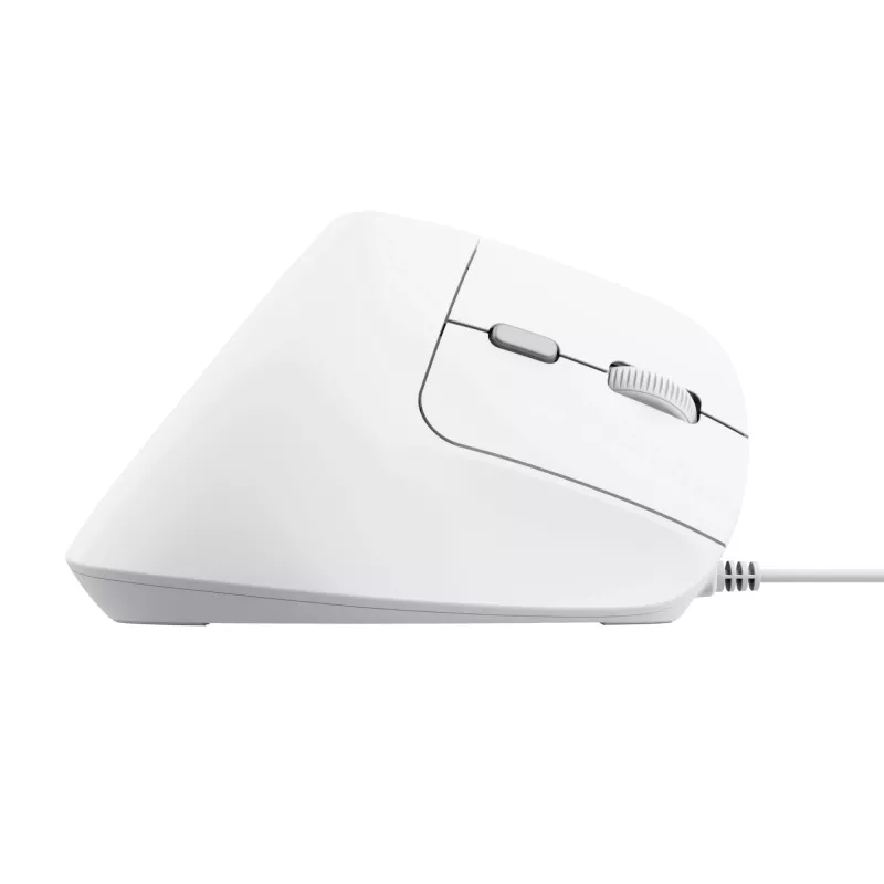 Trust Bayo II mysz Biurowa Praworęczna USB Typu-A Optyczna 2400 DPI