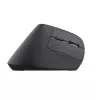 Trust Bayo+ mysz biurowa praworęczna RF Wireless + Bluetooth Optyczna 2400 DPI