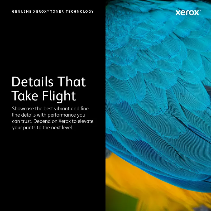 Xerox Czarny wkład tonerowy o standardowej wydajności (1.500 stron), 1500 stron, Czarny, 1 szt.
