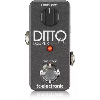 Looper TC Electronic Ditto Looper Czarny Guitar