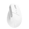 Mysz Trust Bayo+ biurowa praworęczna RF Wireless + Bluetooth optyczna 2400 DPI
