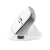Mysz Trust Bayo+ biurowa praworęczna RF Wireless + Bluetooth optyczna 2400 DPI