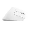 Mysz Trust Bayo+ biurowa praworęczna RF Wireless + Bluetooth optyczna 2400 DPI