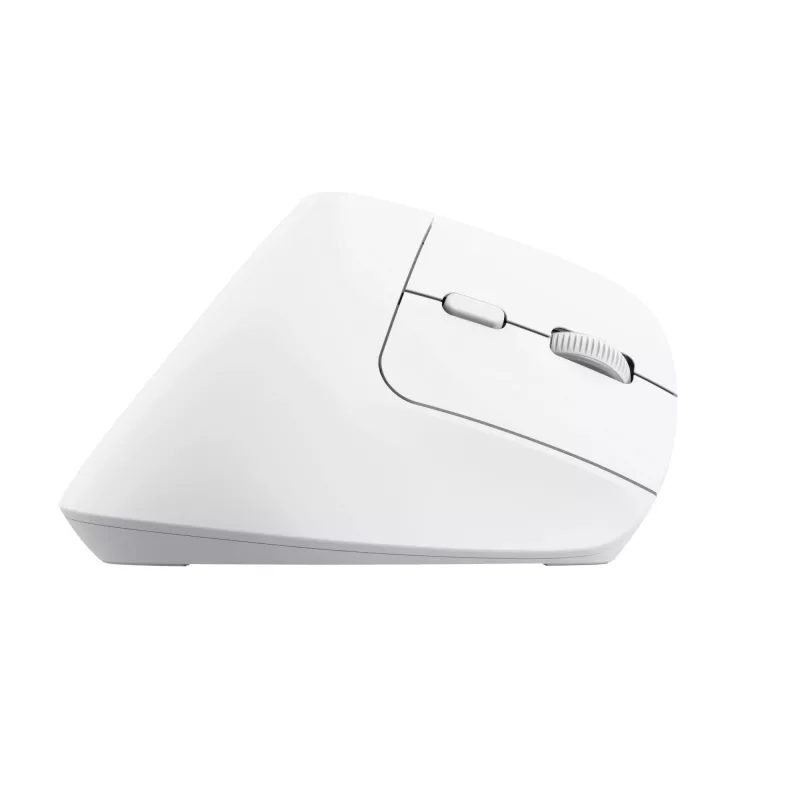 Mysz Trust Bayo+ biurowa praworęczna RF Wireless + Bluetooth optyczna 2400 DPI