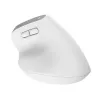 Mysz Trust Bayo+ biurowa praworęczna RF Wireless + Bluetooth optyczna 2400 DPI