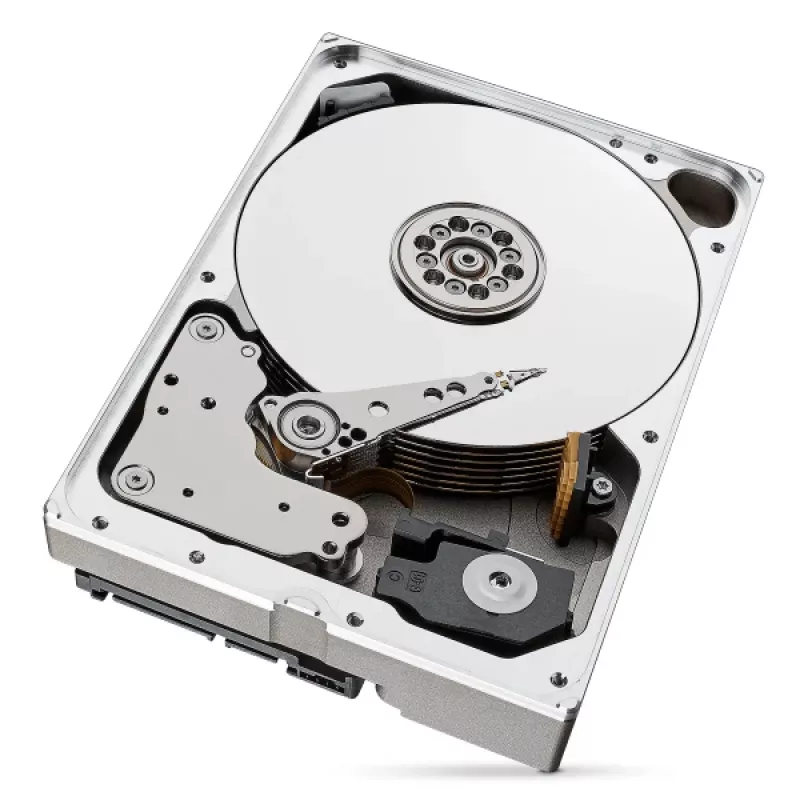 Seagate IronWolf Pro ST10000NT001 wewnętrzny dysk twardy 10 TB 7200 RPM 256 MB 3,5 cala Serial ATA III