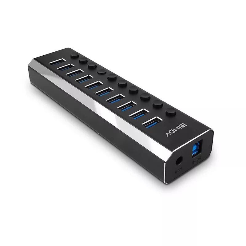 Lindy 10 Port USB 3.0 Hub z przełącznikami On/Off