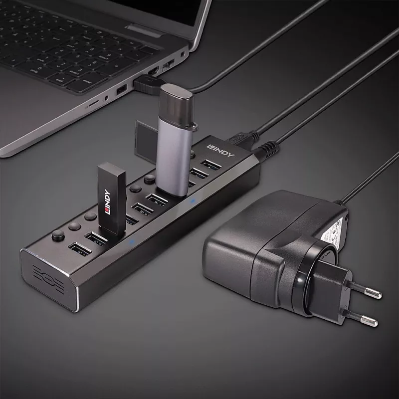 Lindy 10 Port USB 3.0 Hub z przełącznikami On/Off