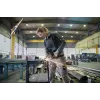 Bosch GWS 17-125 szlifierka kątowa 12.5 cm 11500 obr./min 1700 W 2.2 kg