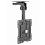 Uchwyt sufitowy do telewizora GEMBIRD CM-43ST-01 full-motion do telewizorów 19–43 cali, stalowy, pochylenie 0–90°, obrót ±45°, VESA 75×75–200×200, maks. 20 kg, czarny