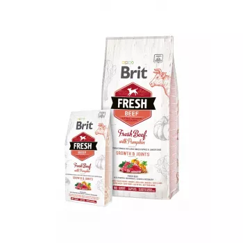 Brit Fresh Beef with Pumpkin Puppy Large Bones & Joints karma dla psów
