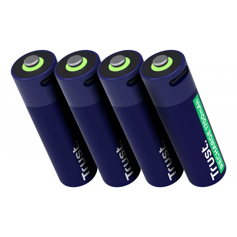 Trust 25631 bateria domowa Akumulator AA