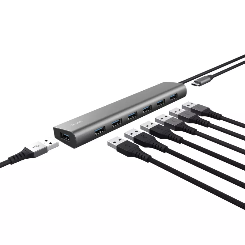 Trust Halyx USB 3.2 Gen 1 (3.1 Gen 1) Type-A 5000 Mbit/s Srebrny