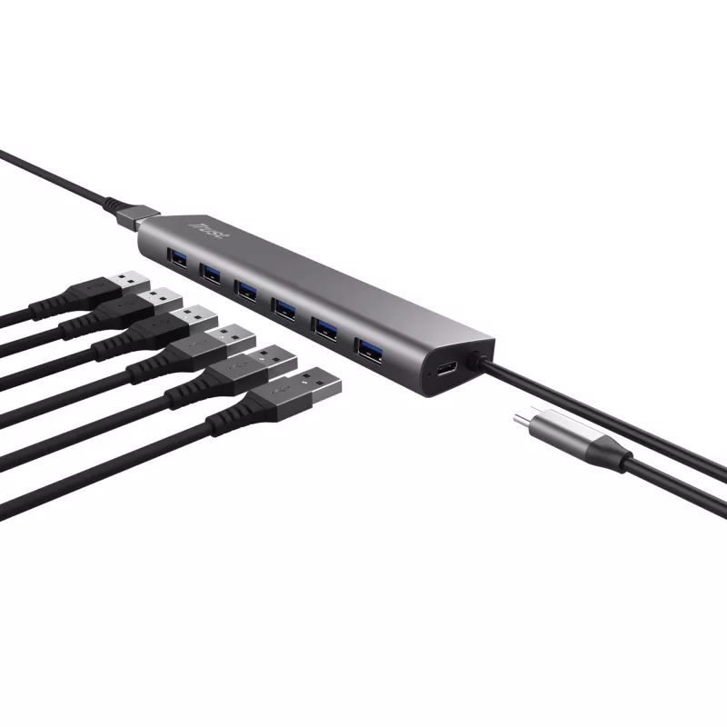 Trust Halyx USB 3.2 Gen 1 (3.1 Gen 1) Type-A 5000 Mbit/s Srebrny