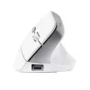 Trust Bayo II mysz Praworęczna biurowa RF Wireless Optyczna 2400 DPI
