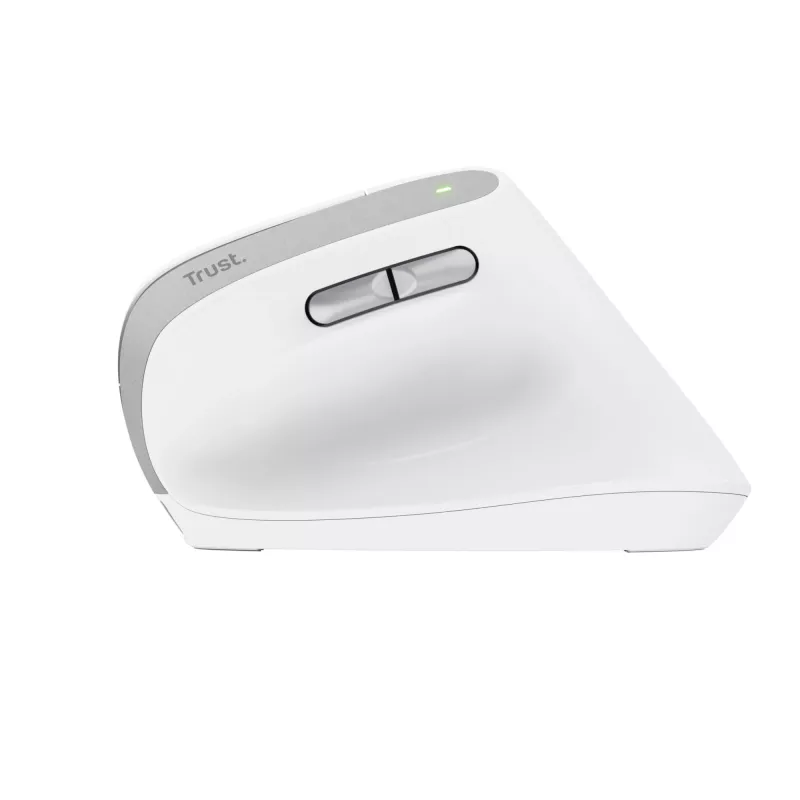 Trust Bayo II mysz Praworęczna biurowa RF Wireless Optyczna 2400 DPI