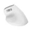 Trust Bayo II mysz Praworęczna biurowa RF Wireless Optyczna 2400 DPI