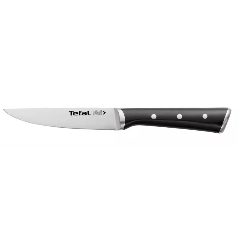 Komplet noży/blok Tefal Ice Force K232S5