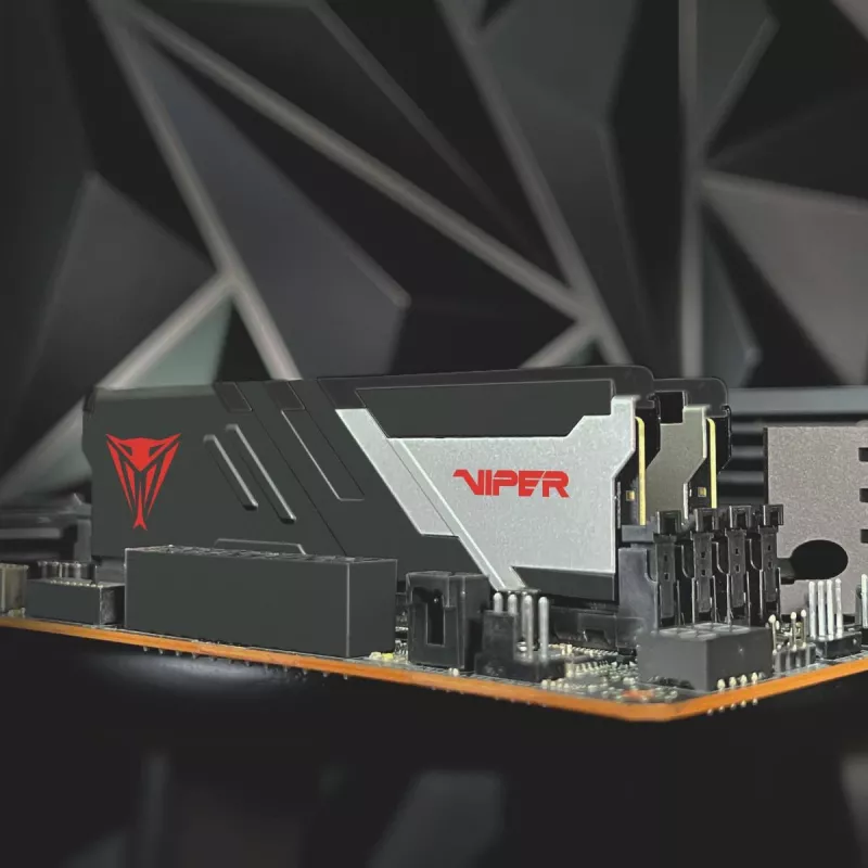 PATRIOT MEMORY Pamięć - Viper Venom - 32 GB 2 x 16 GB DDR5 7000 MHz