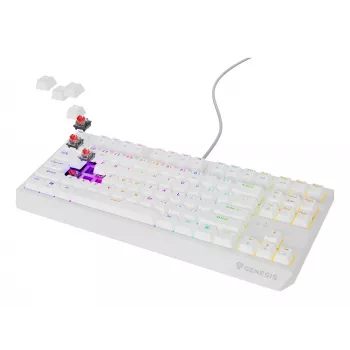 GENESIS Thor 230 TKL klawiatura Gaming USB QWERTY US English Biała