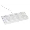 GENESIS Thor 230 TKL klawiatura Gaming USB QWERTY US English Biała