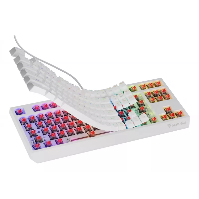 GENESIS Thor 230 TKL klawiatura Gaming USB QWERTY US English Biała