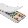 GENESIS Thor 230 TKL klawiatura Gaming USB QWERTY US English Biała