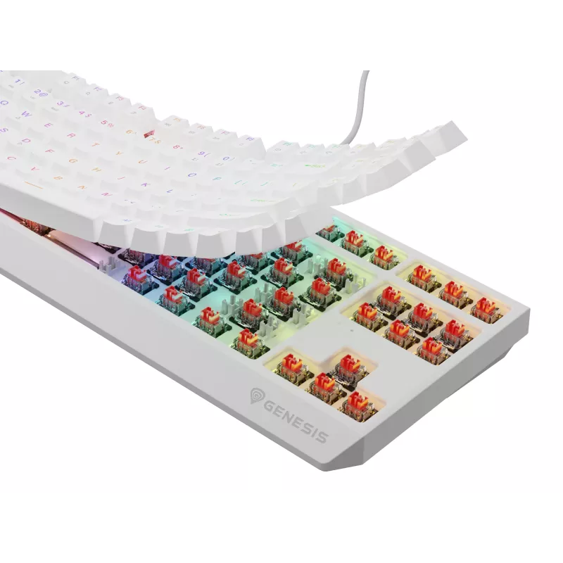 GENESIS Thor 230 TKL klawiatura Gaming USB QWERTY US English Biała