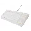 GENESIS Thor 230 TKL klawiatura Gaming USB QWERTY US English Biała