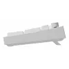 Klawiatura GENESIS NKG-2300 Uniwersalna USB QWERTY Angielska Biała