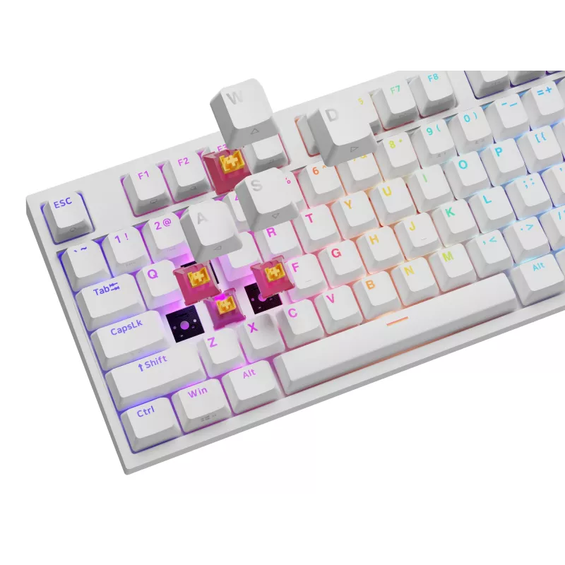 Klawiatura GENESIS NKG-2300 Uniwersalna USB QWERTY Angielska Biała