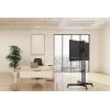 Wielofunkcyjny wózek telewizyjny Equip Economy