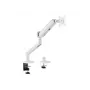 Equip 17–35 cali Premium Monitor Desk Mount Bracket, Biały