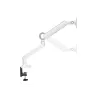Equip 17–35 cali Premium Monitor Desk Mount Bracket, Biały