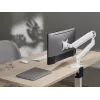 Equip 17–35 cali Premium Monitor Desk Mount Bracket, Biały