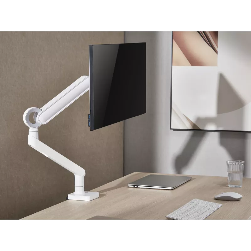 Equip 17–35 cali Premium Monitor Desk Mount Bracket, Biały