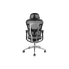 Equip Ergonomic Premium Office Chair with Headrest and Armrests, szary
